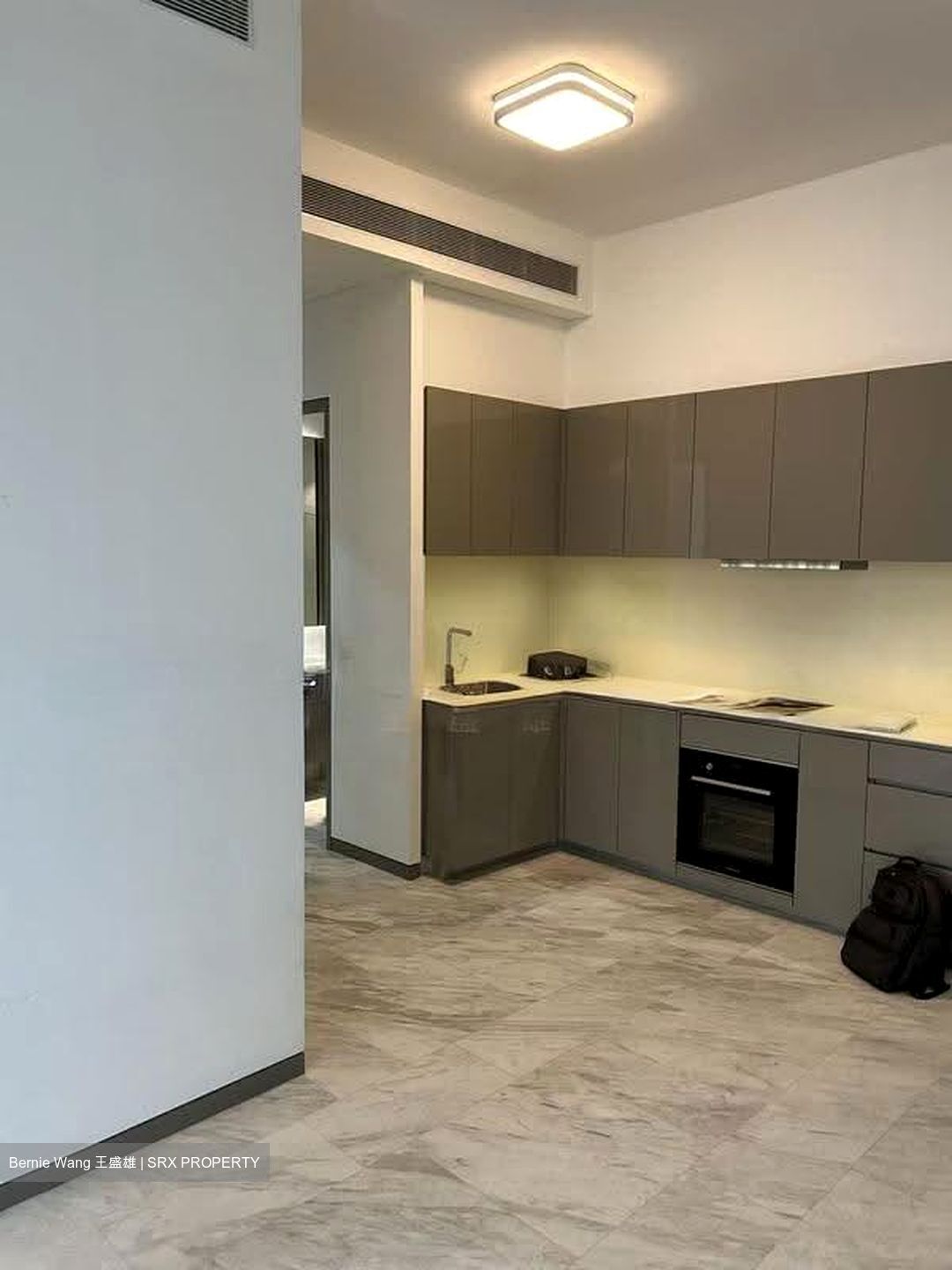 Robin Residences (D10), Condominium #635652081
